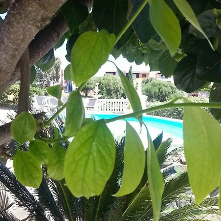 Sa Dom De Babbu *